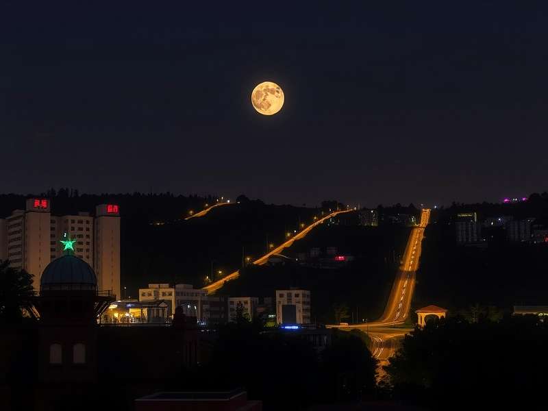 真宝纸业参加国际造纸展览会